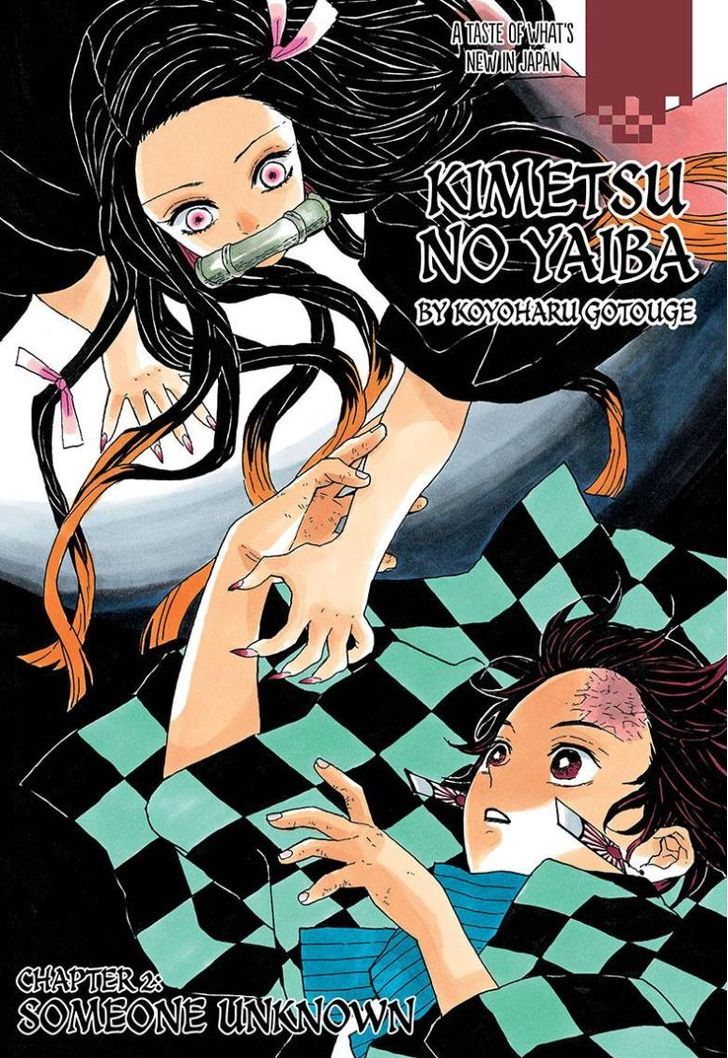 Demon Slayer: Kimetsu no Yaiba Chapter 2 - Page
