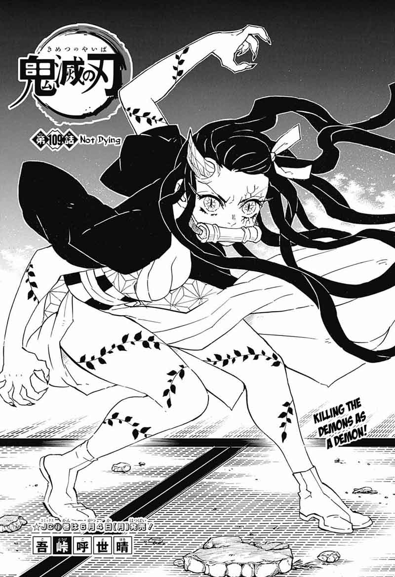 Demon Slayer: Kimetsu no Yaiba Chapter 109 - Page