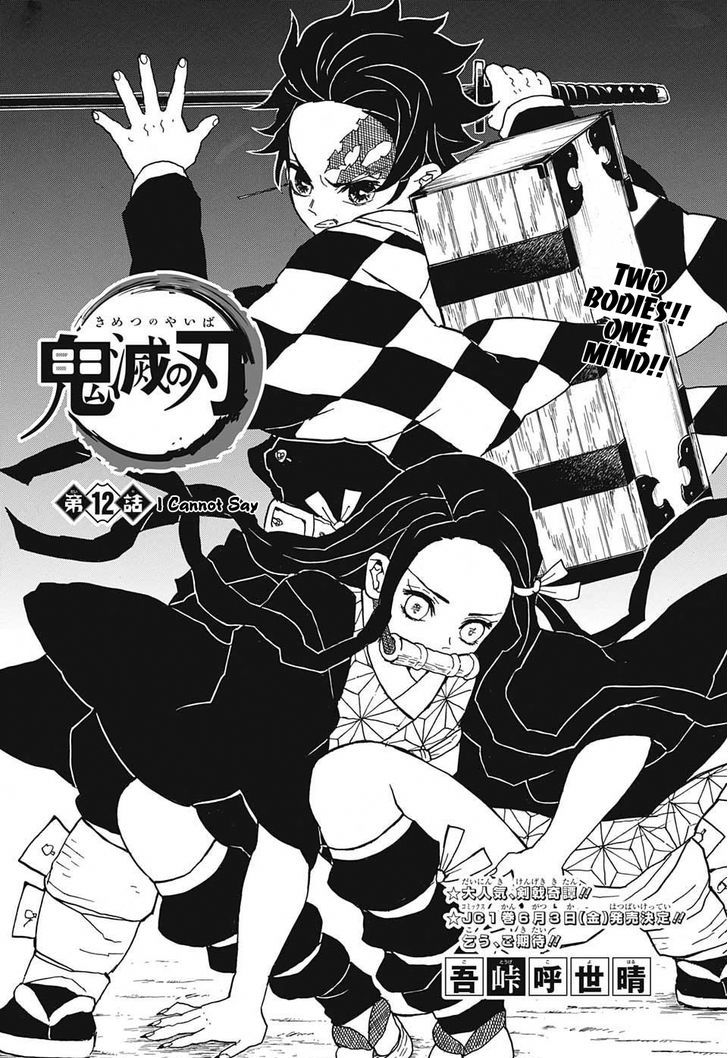 Demon Slayer: Kimetsu no Yaiba Chapter 12 - Page