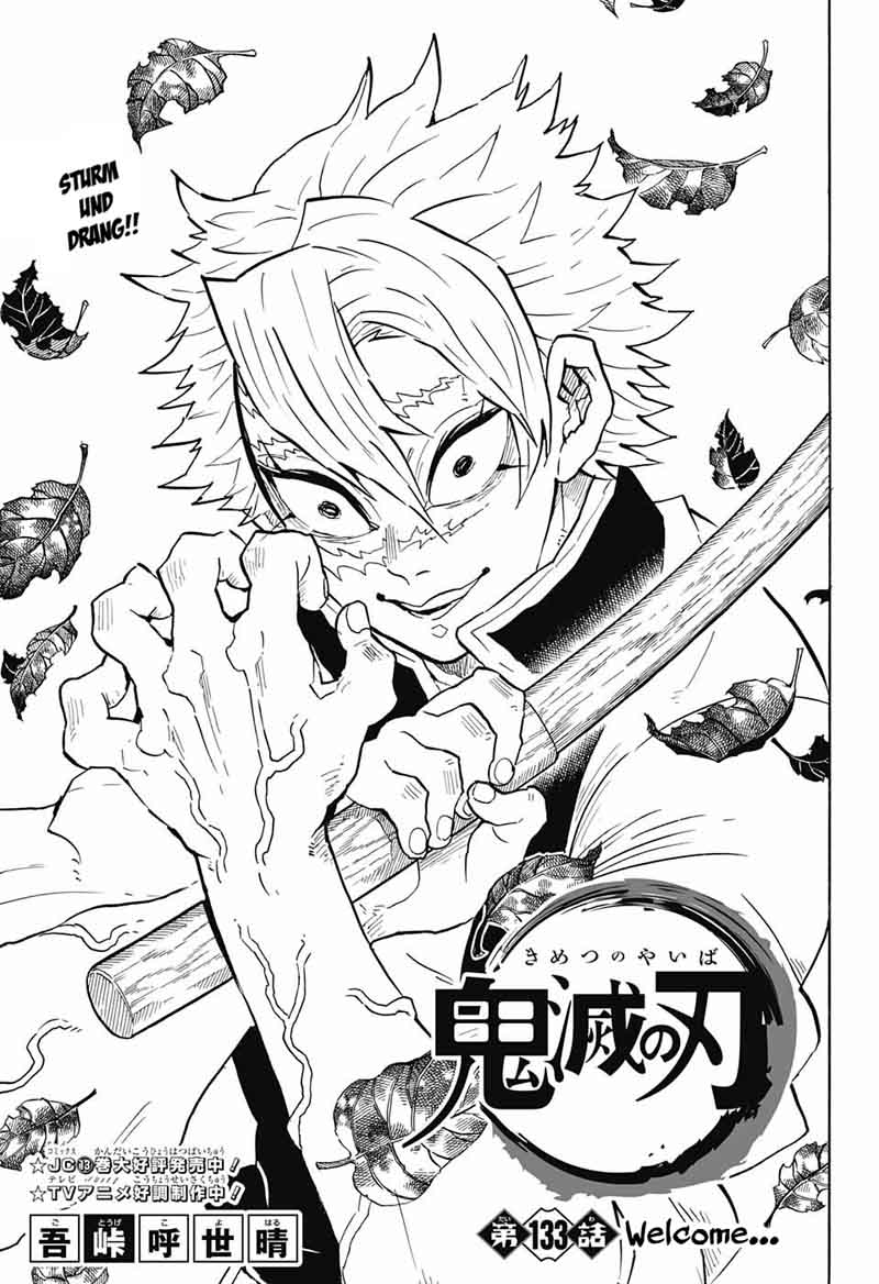 Demon Slayer: Kimetsu no Yaiba Chapter 133 - Page