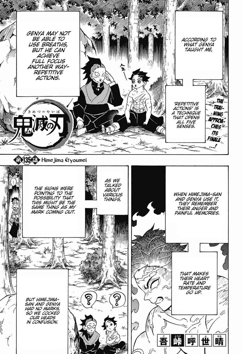 Demon Slayer: Kimetsu no Yaiba Chapter 135 - Page