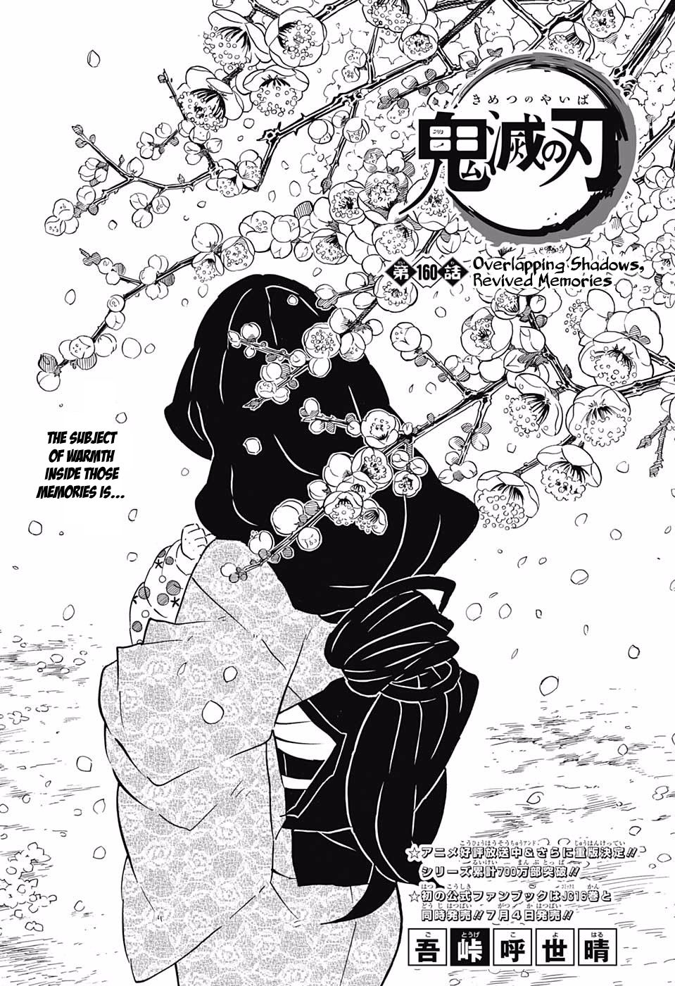 Demon Slayer: Kimetsu no Yaiba Chapter 160 - Page