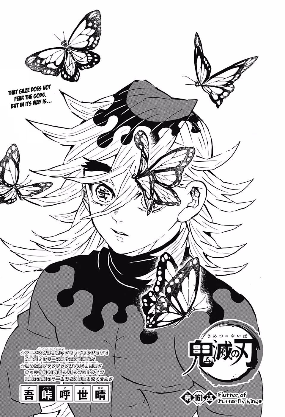 Demon Slayer: Kimetsu no Yaiba Chapter 161 - Page