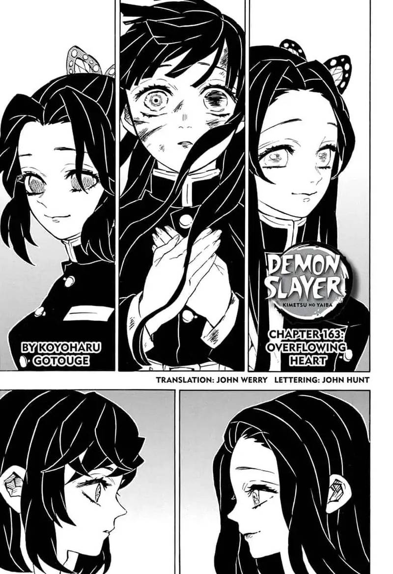 Demon Slayer: Kimetsu no Yaiba Chapter 163 - Page