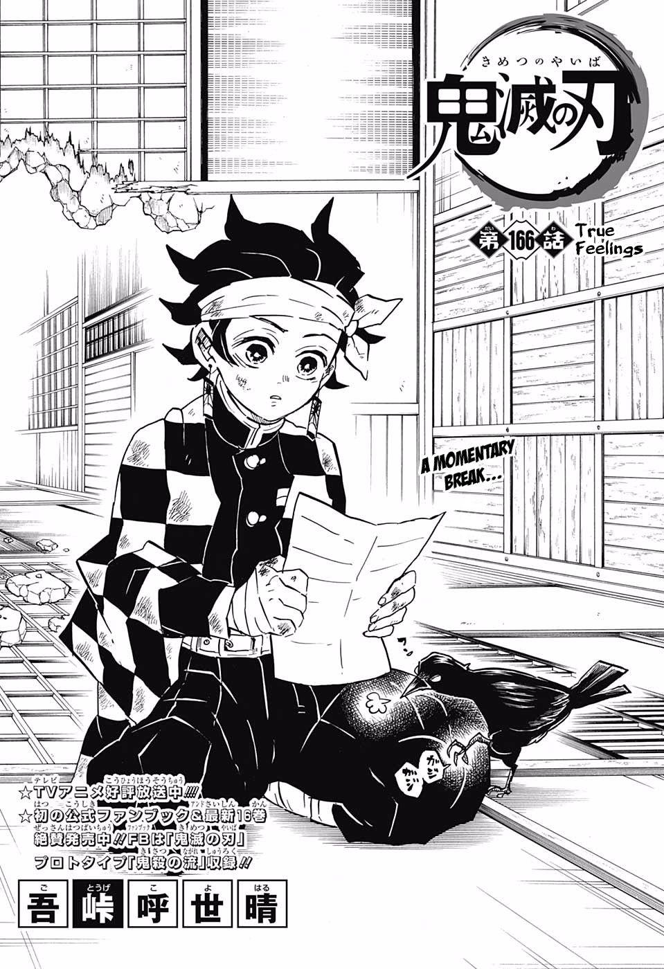 Demon Slayer: Kimetsu no Yaiba Chapter 166 - Page