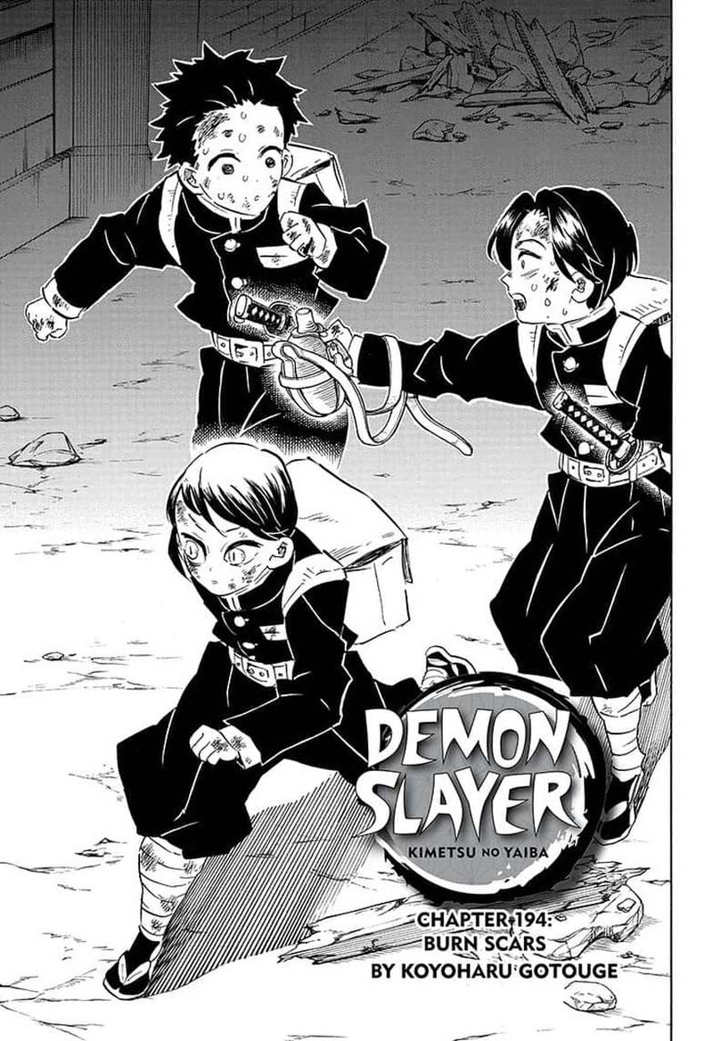Demon Slayer: Kimetsu no Yaiba Chapter 194 - Page