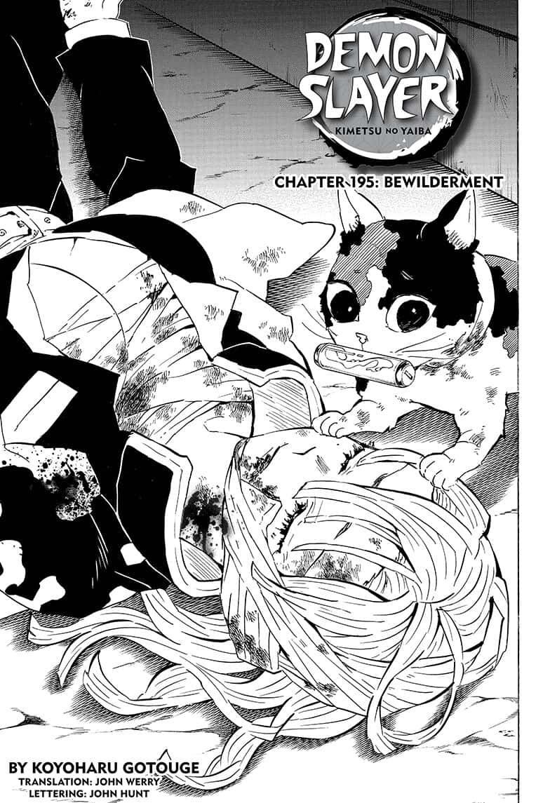 Demon Slayer: Kimetsu no Yaiba Chapter 195 - Page