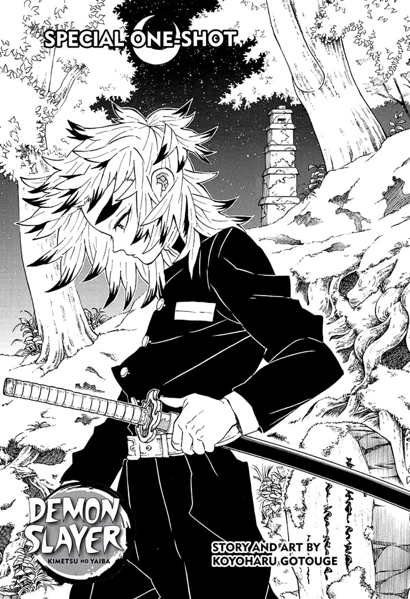 Demon Slayer: Kimetsu no Yaiba Chapter 206 - Page