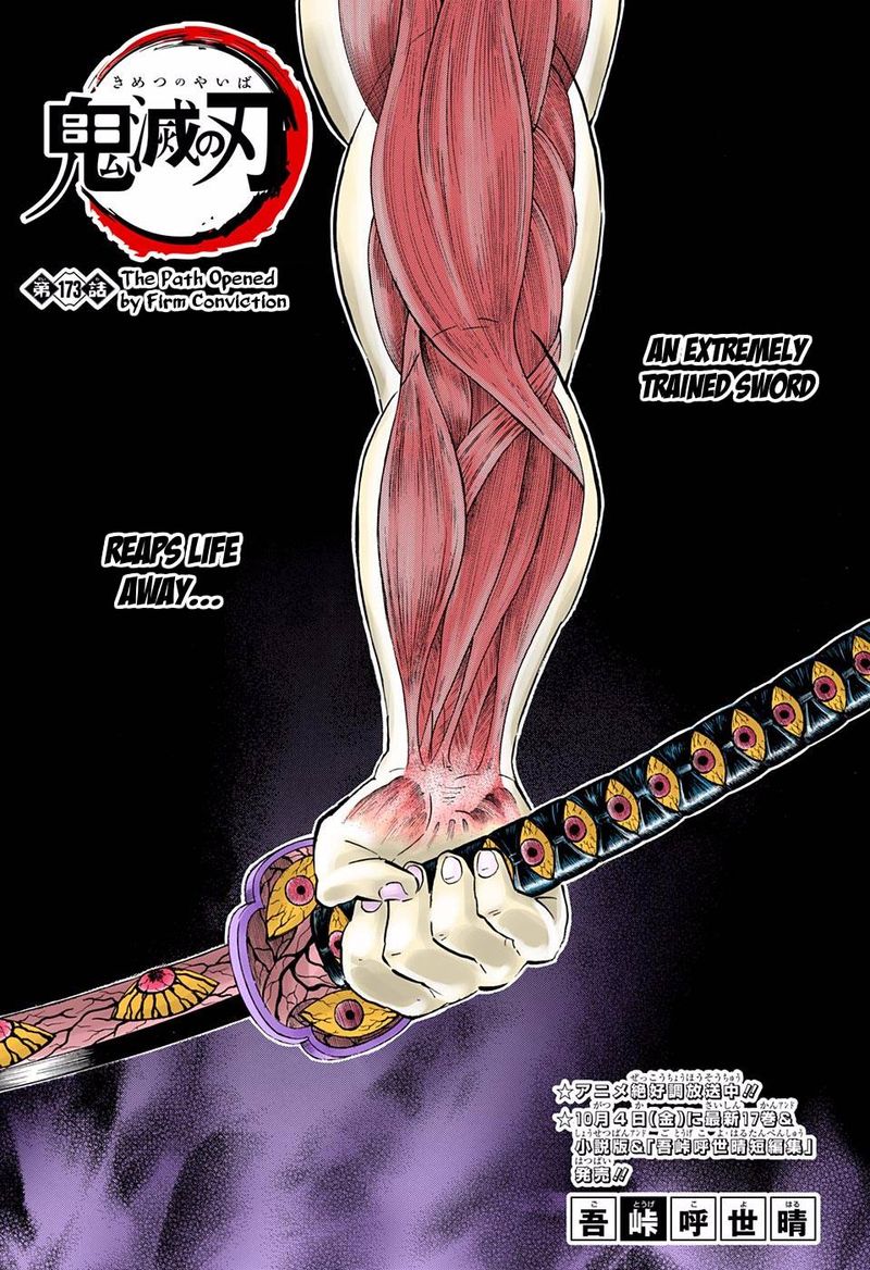 Kimetsu No Yaiba   Digital Colored Comics Chapter 173 - Page