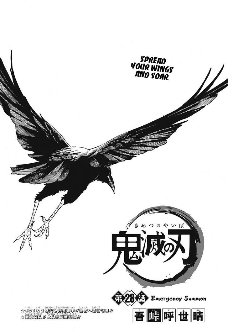 Demon Slayer: Kimetsu no Yaiba Chapter 28 - Page