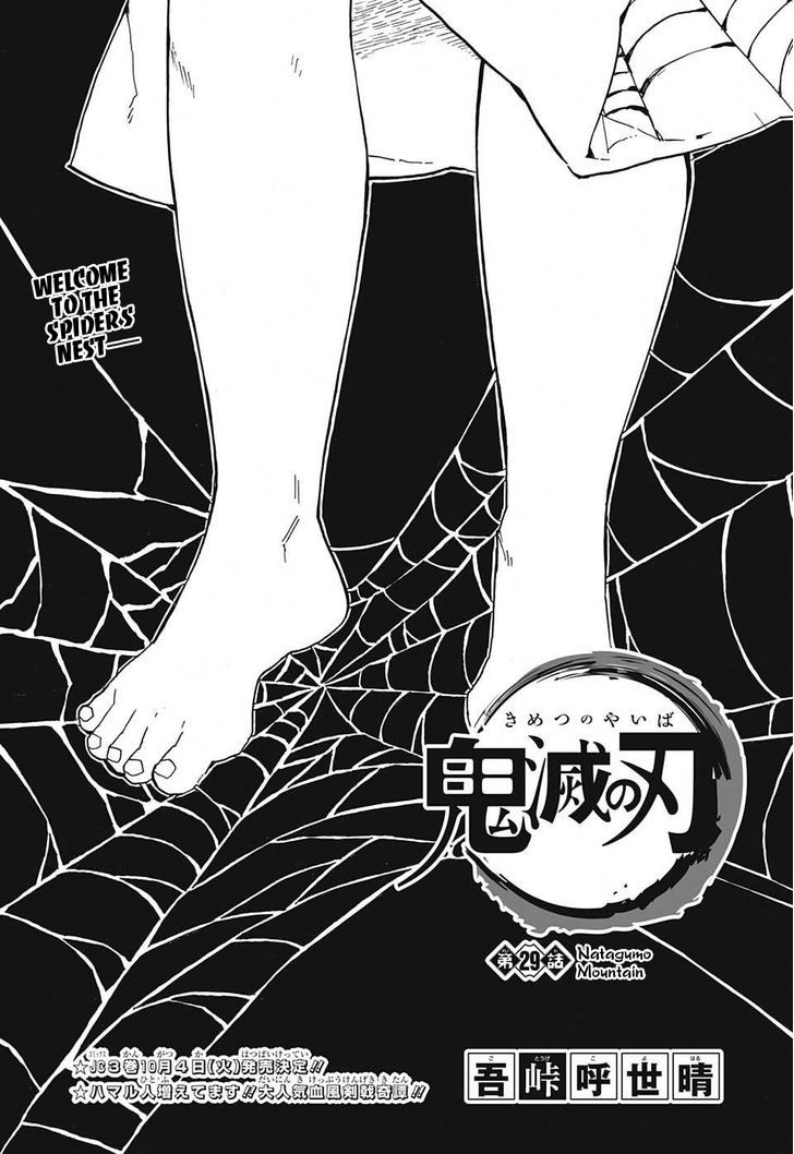 Demon Slayer: Kimetsu no Yaiba Chapter 29 - Page