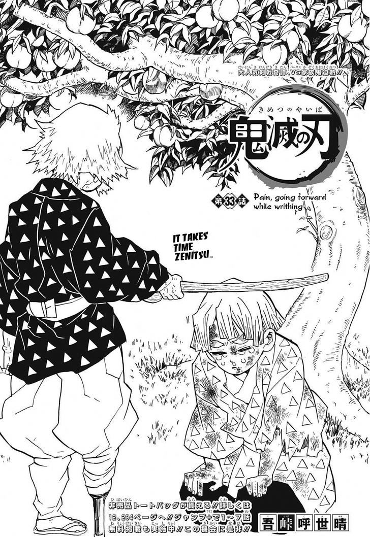 Demon Slayer: Kimetsu no Yaiba Chapter 33 - Page