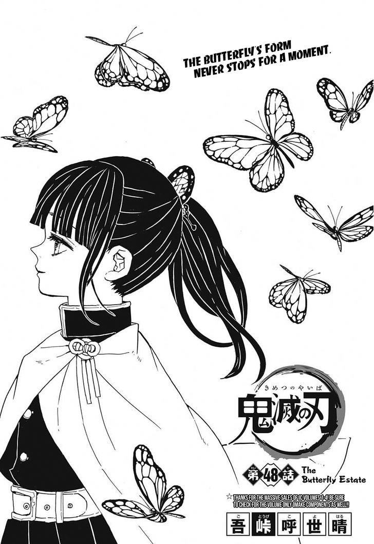 Demon Slayer: Kimetsu no Yaiba Chapter 48 - Page
