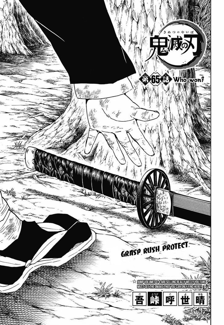 Demon Slayer: Kimetsu no Yaiba Chapter 65 - Page