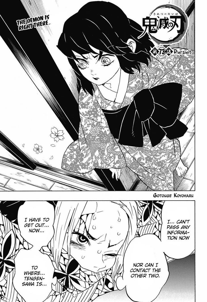 Demon Slayer: Kimetsu no Yaiba Chapter 73 - Page