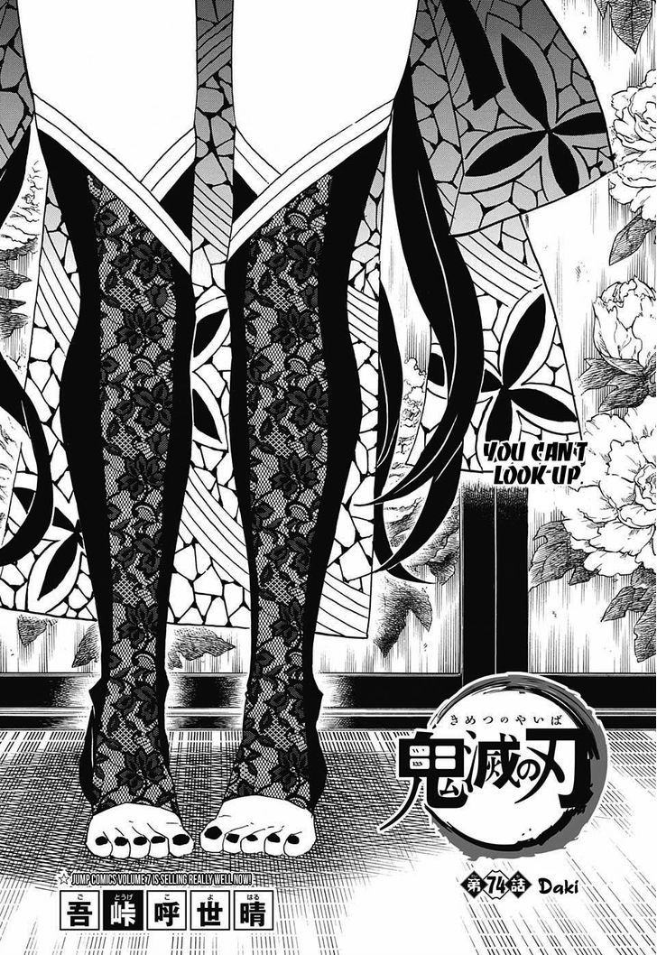 Demon Slayer: Kimetsu no Yaiba Chapter 74 - Page