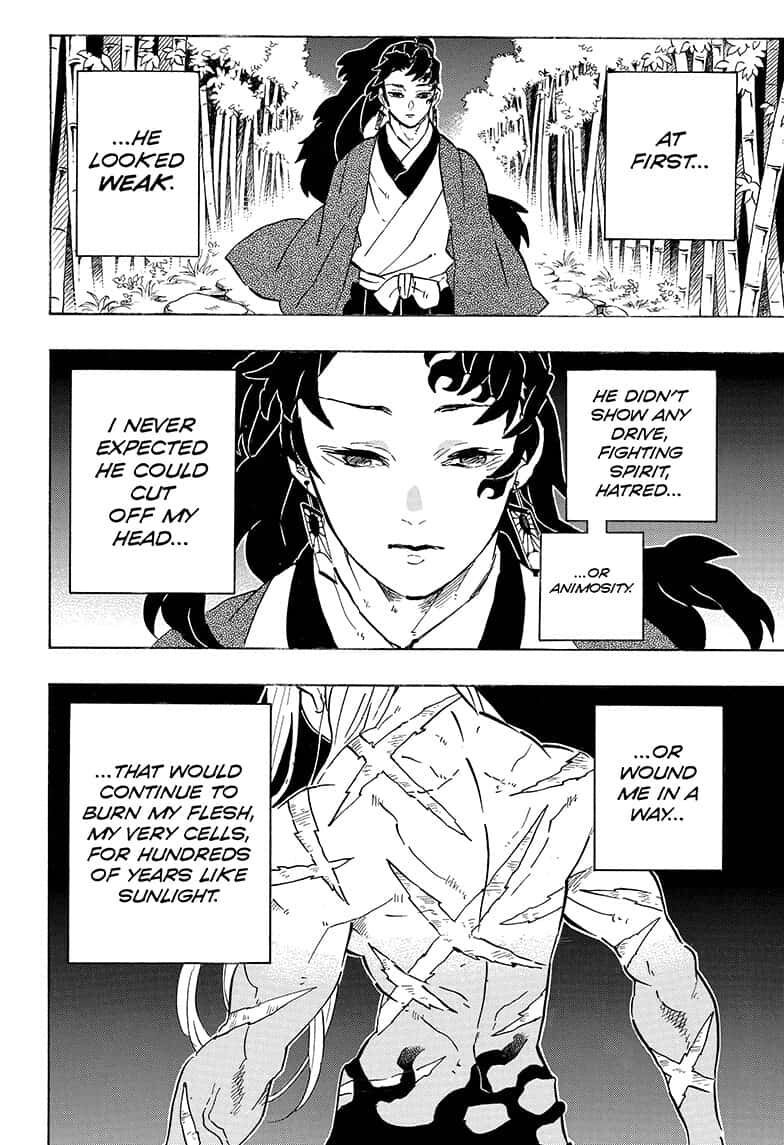 Demon Slayer: Kimetsu no Yaiba Chapter 195 - Page