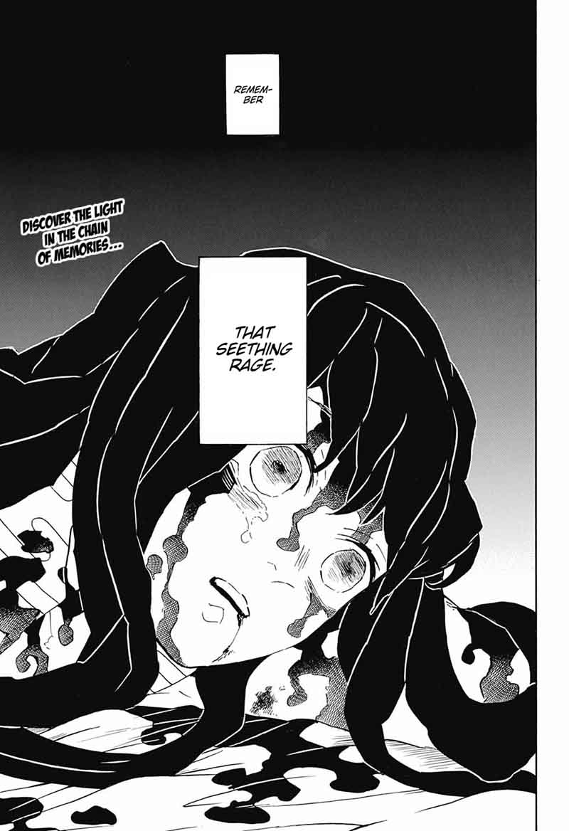 Demon Slayer: Kimetsu no Yaiba Chapter 121 - Page