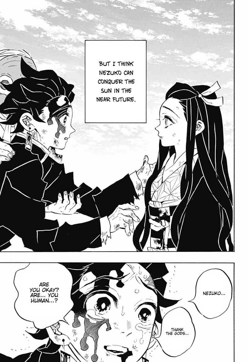 Demon Slayer: Kimetsu no Yaiba Chapter 127 - Page