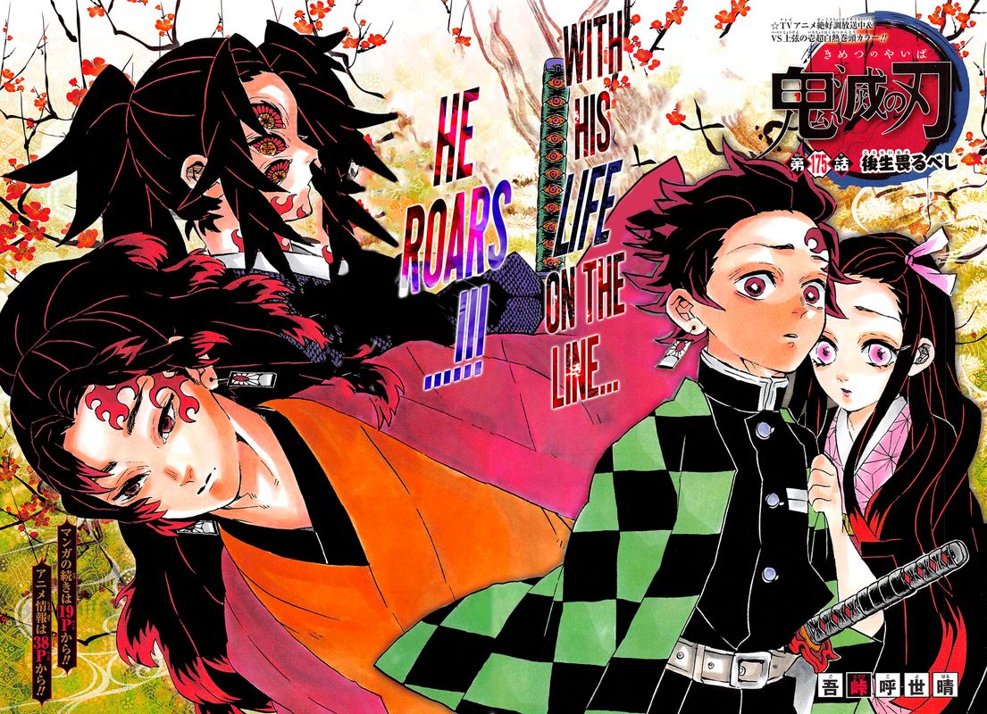 Demon Slayer: Kimetsu no Yaiba Chapter 175 - Page