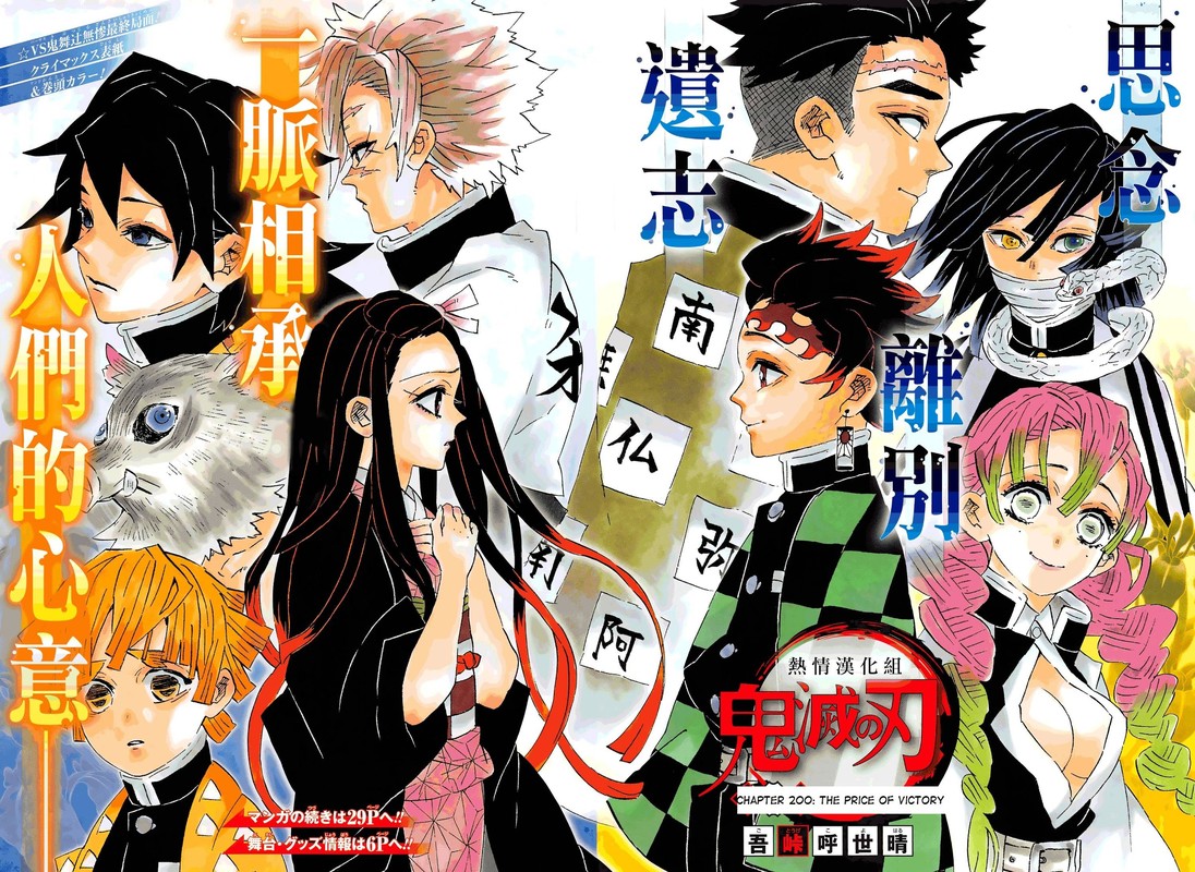 Demon Slayer: Kimetsu no Yaiba Chapter 200 - Page