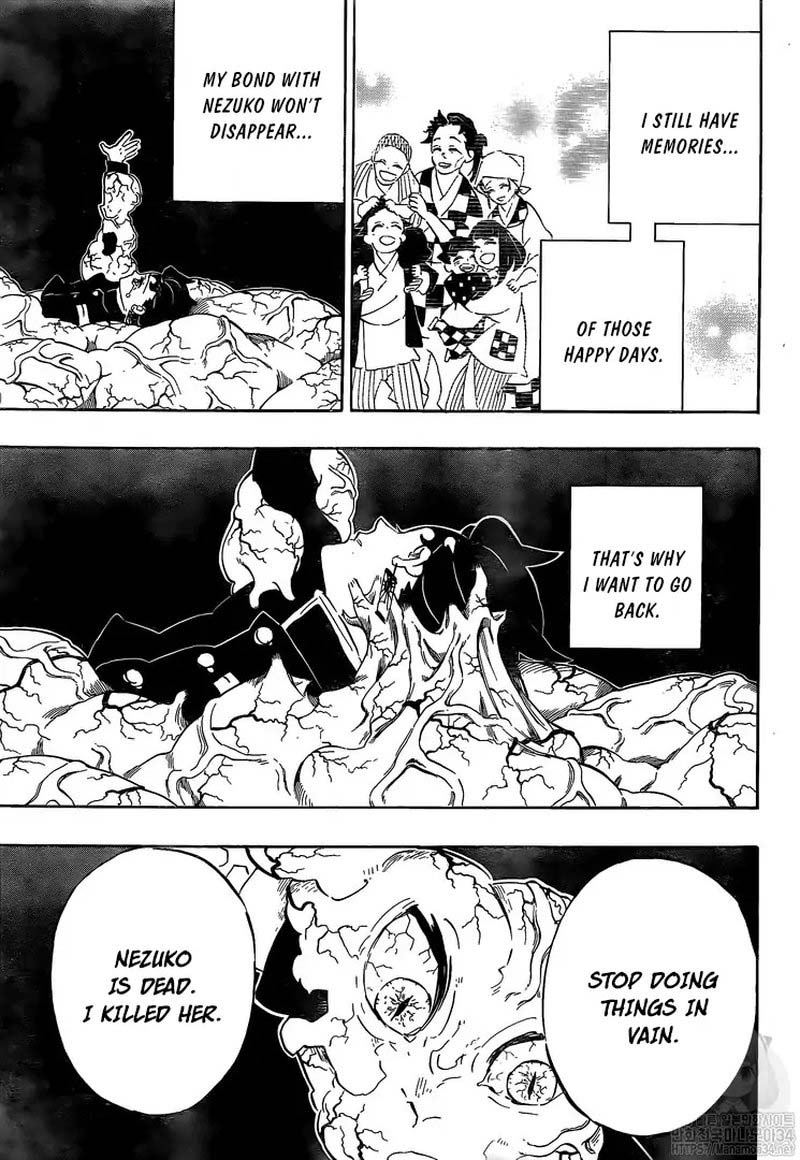 Demon Slayer: Kimetsu no Yaiba Chapter 203 - Page