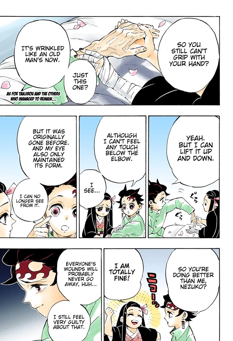 Demon Slayer: Kimetsu no Yaiba Chapter 204 - Page