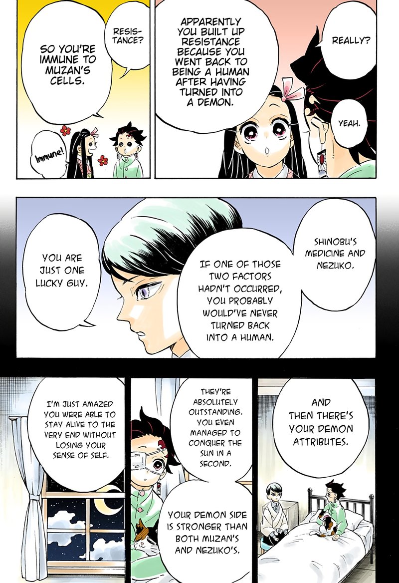 Demon Slayer: Kimetsu no Yaiba Chapter 204 - Page
