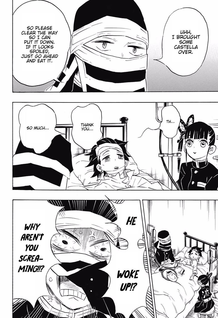 Demon Slayer: Kimetsu no Yaiba Chapter 100 - Page
