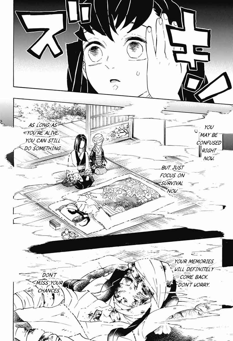 Demon Slayer: Kimetsu no Yaiba Chapter 108 - Page