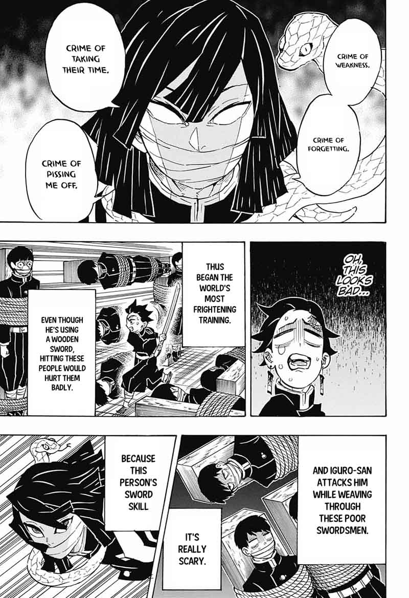 Demon Slayer: Kimetsu no Yaiba Chapter 132 - Page