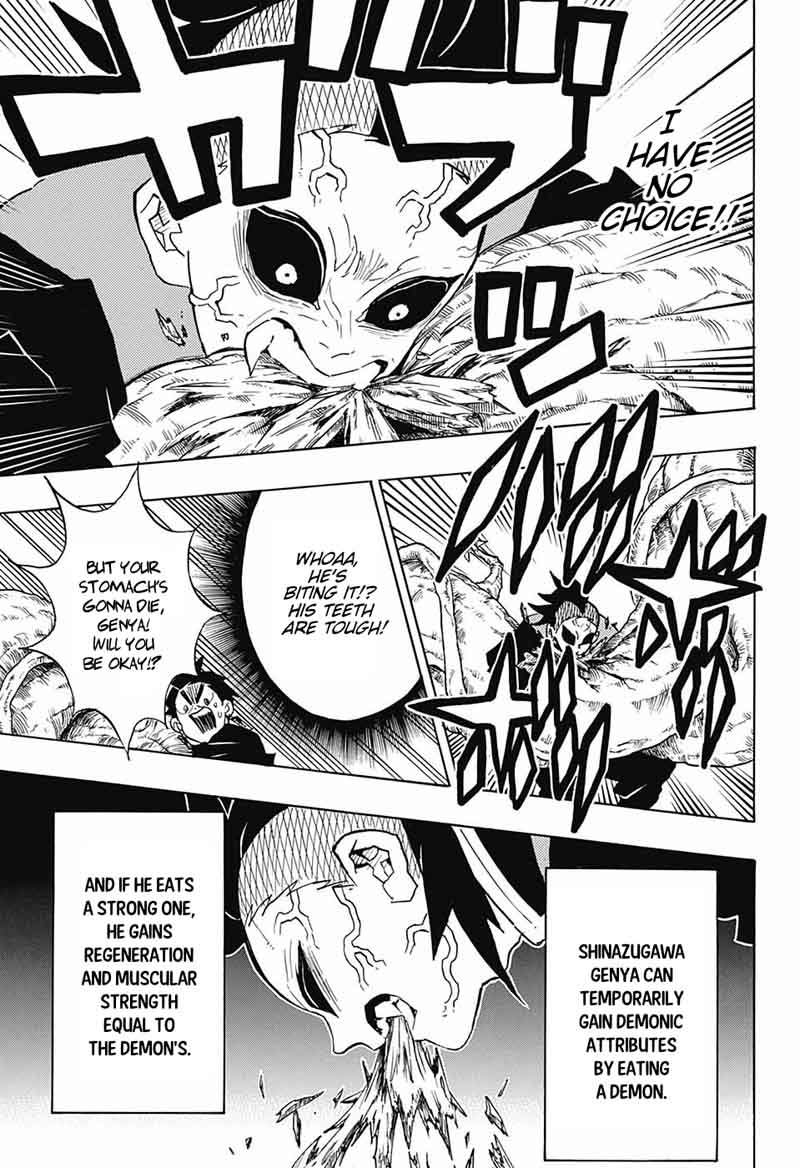 Demon Slayer: Kimetsu no Yaiba Chapter 124 - Page