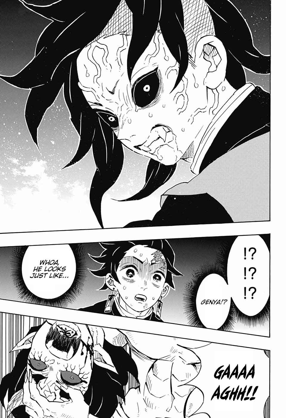 Demon Slayer: Kimetsu no Yaiba Chapter 113 - Page