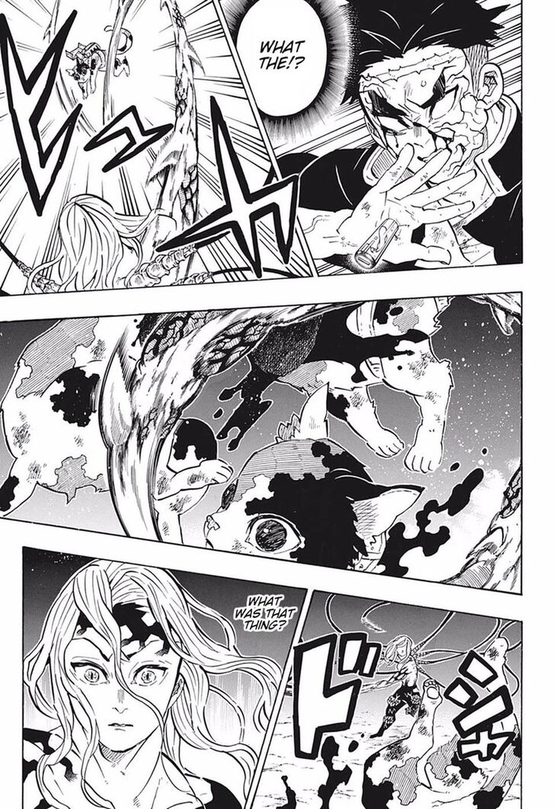 Demon Slayer: Kimetsu no Yaiba Chapter 189 - Page