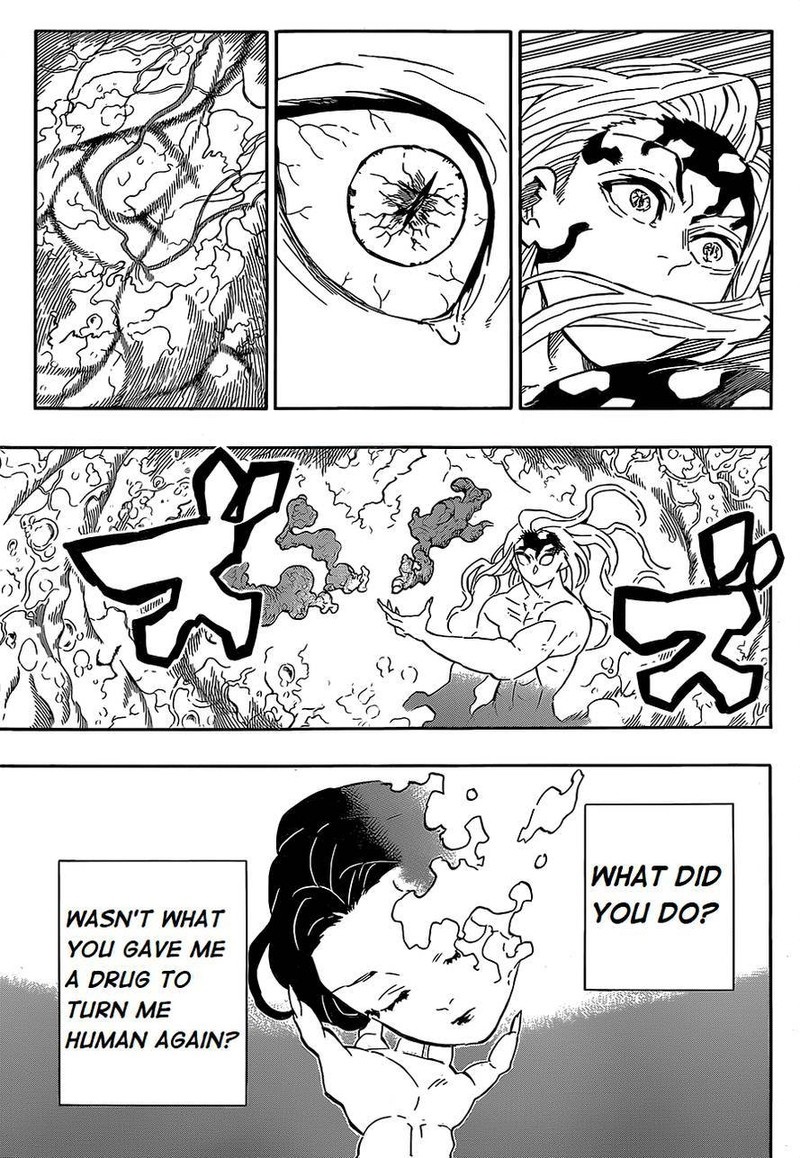 Demon Slayer: Kimetsu no Yaiba Chapter 193 - Page