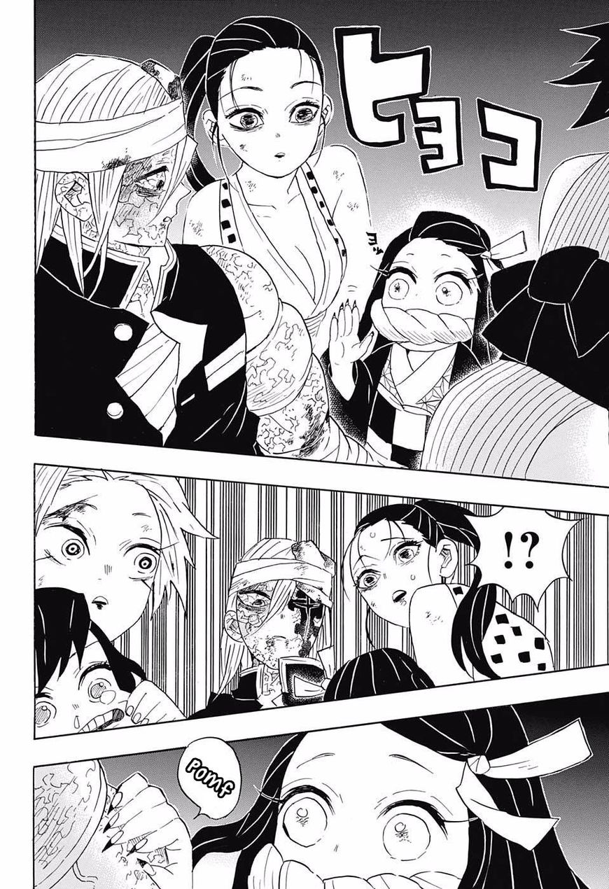Demon Slayer: Kimetsu no Yaiba Chapter 95 - Page