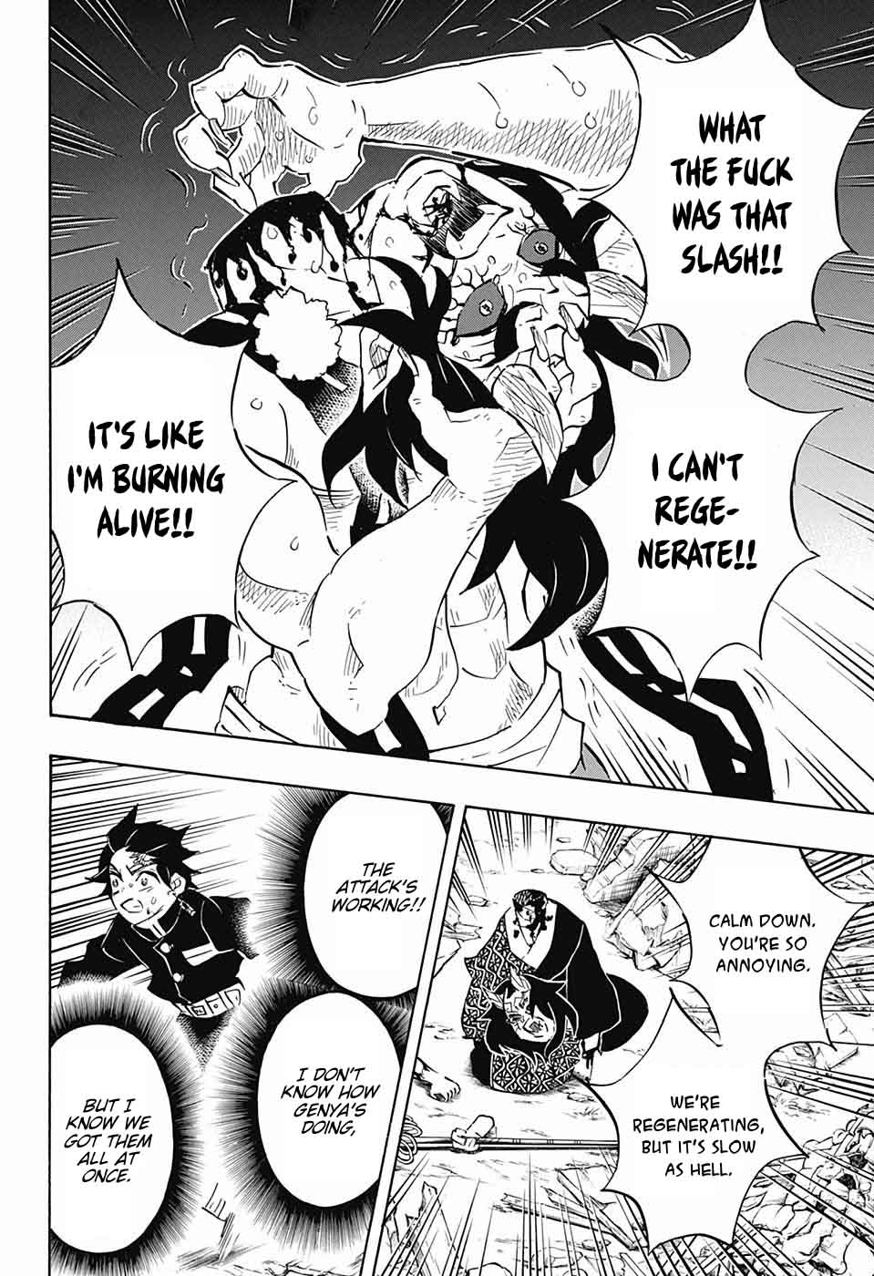 Demon Slayer: Kimetsu no Yaiba Chapter 113 - Page