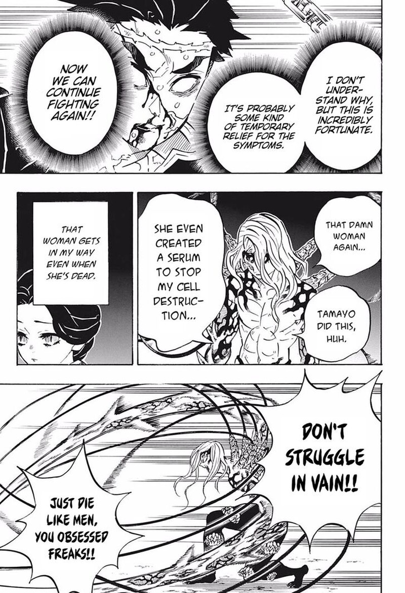 Demon Slayer: Kimetsu no Yaiba Chapter 189 - Page