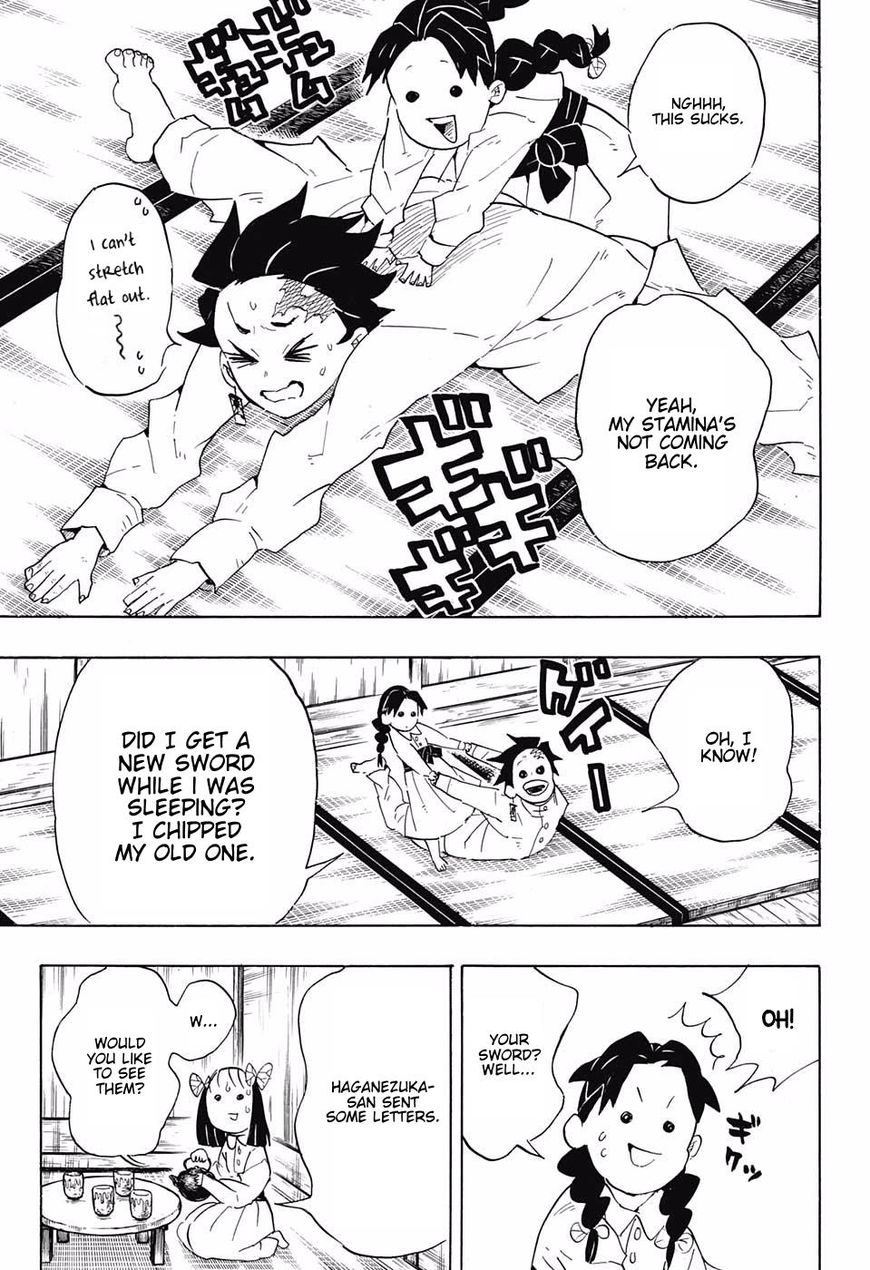 Demon Slayer: Kimetsu no Yaiba Chapter 100 - Page
