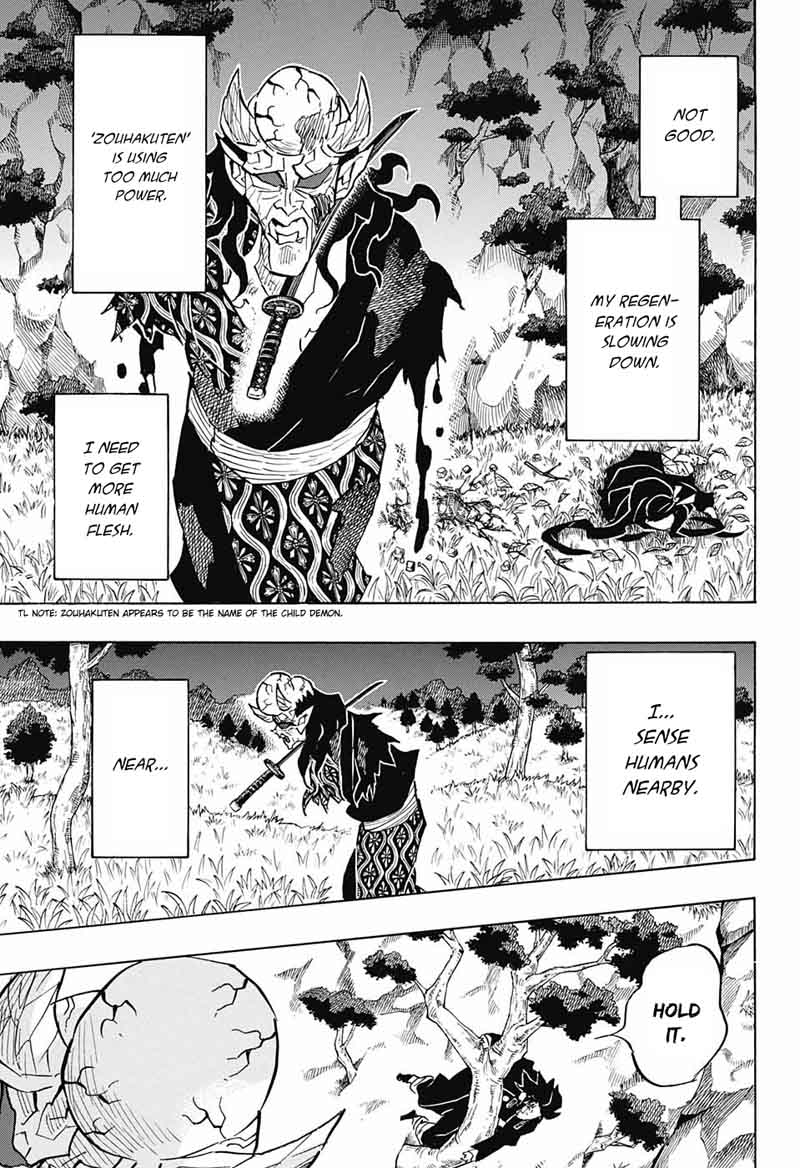 Demon Slayer: Kimetsu no Yaiba Chapter 125 - Page
