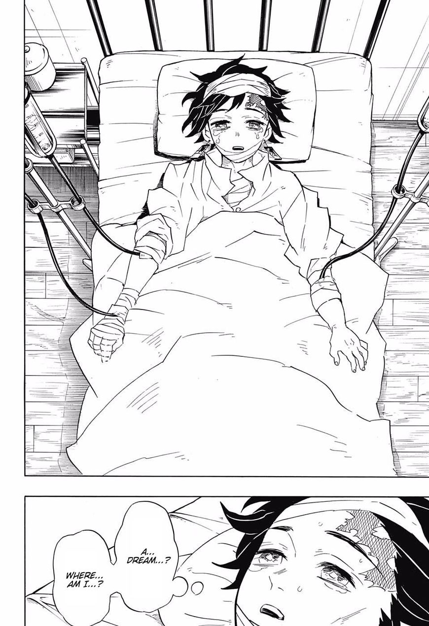 Demon Slayer: Kimetsu no Yaiba Chapter 99 - Page