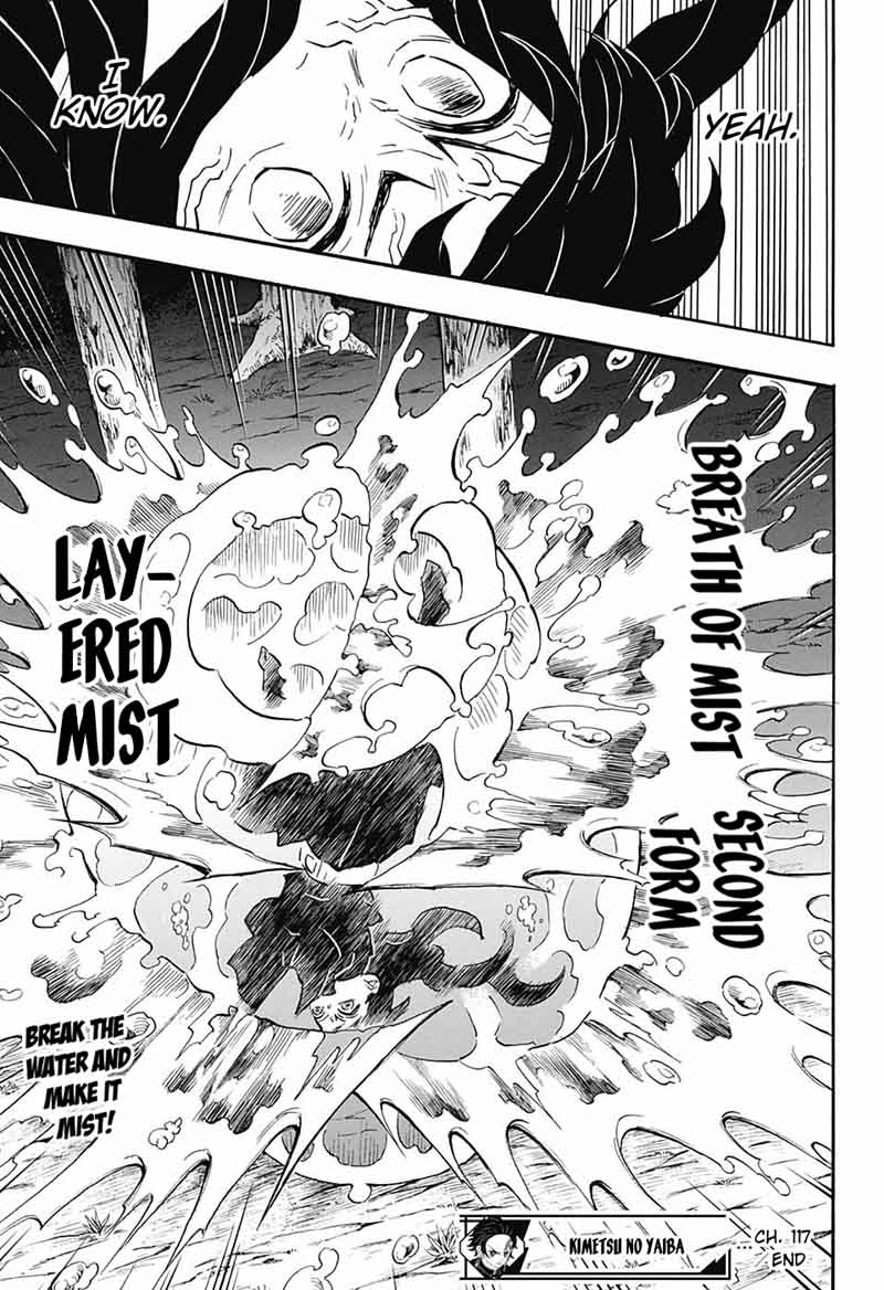 Demon Slayer: Kimetsu no Yaiba Chapter 117 - Page