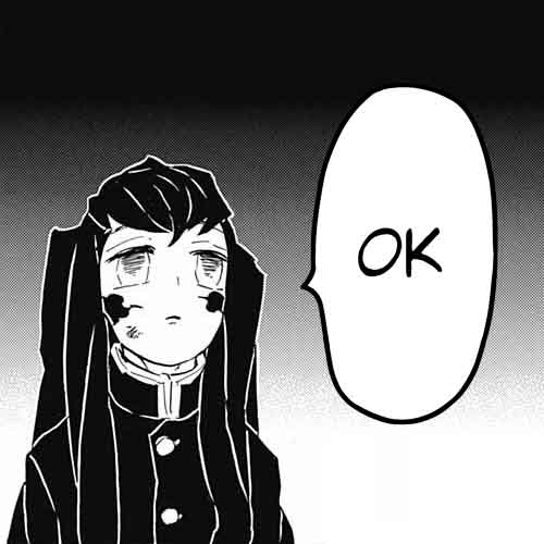 Demon Slayer: Kimetsu no Yaiba Chapter 120 - Page