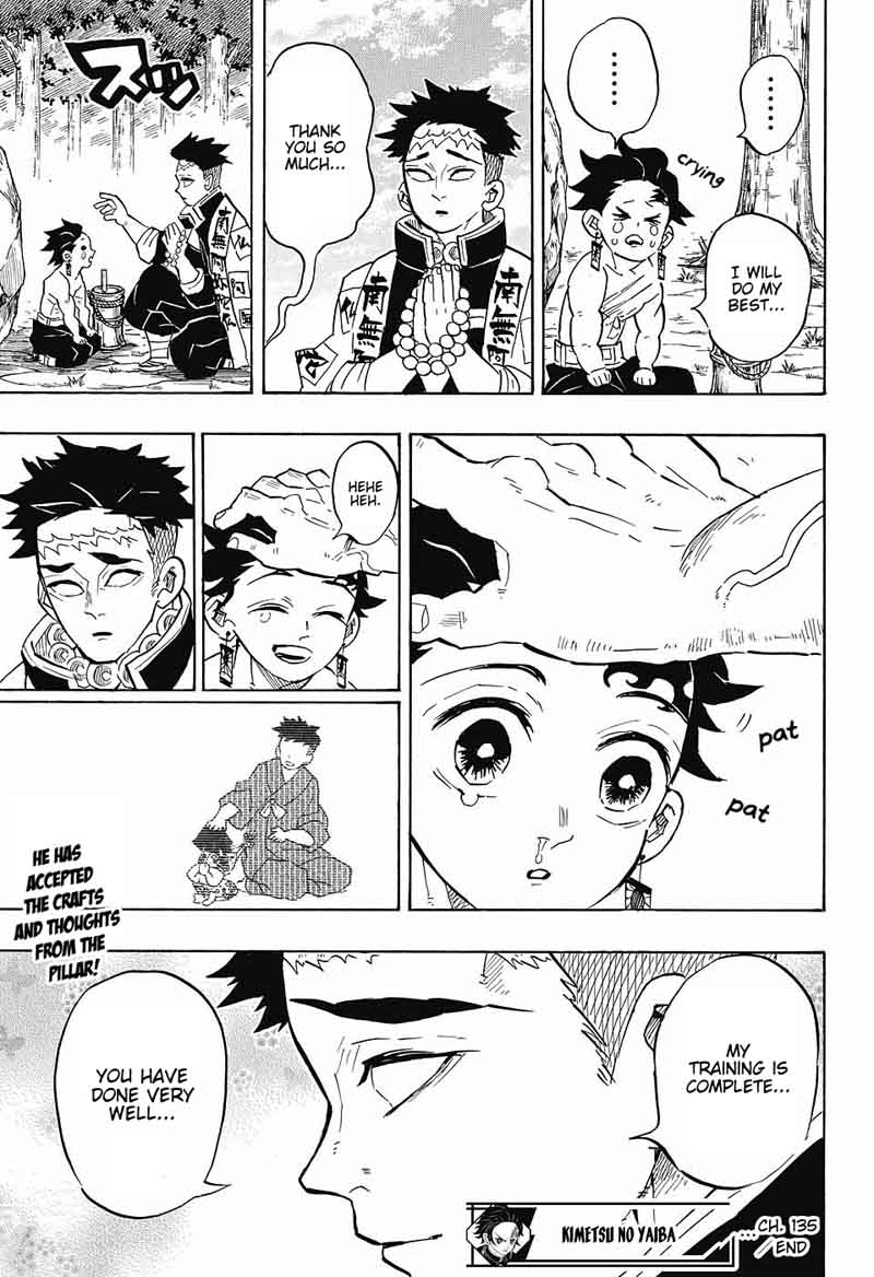 Demon Slayer: Kimetsu no Yaiba Chapter 135 - Page