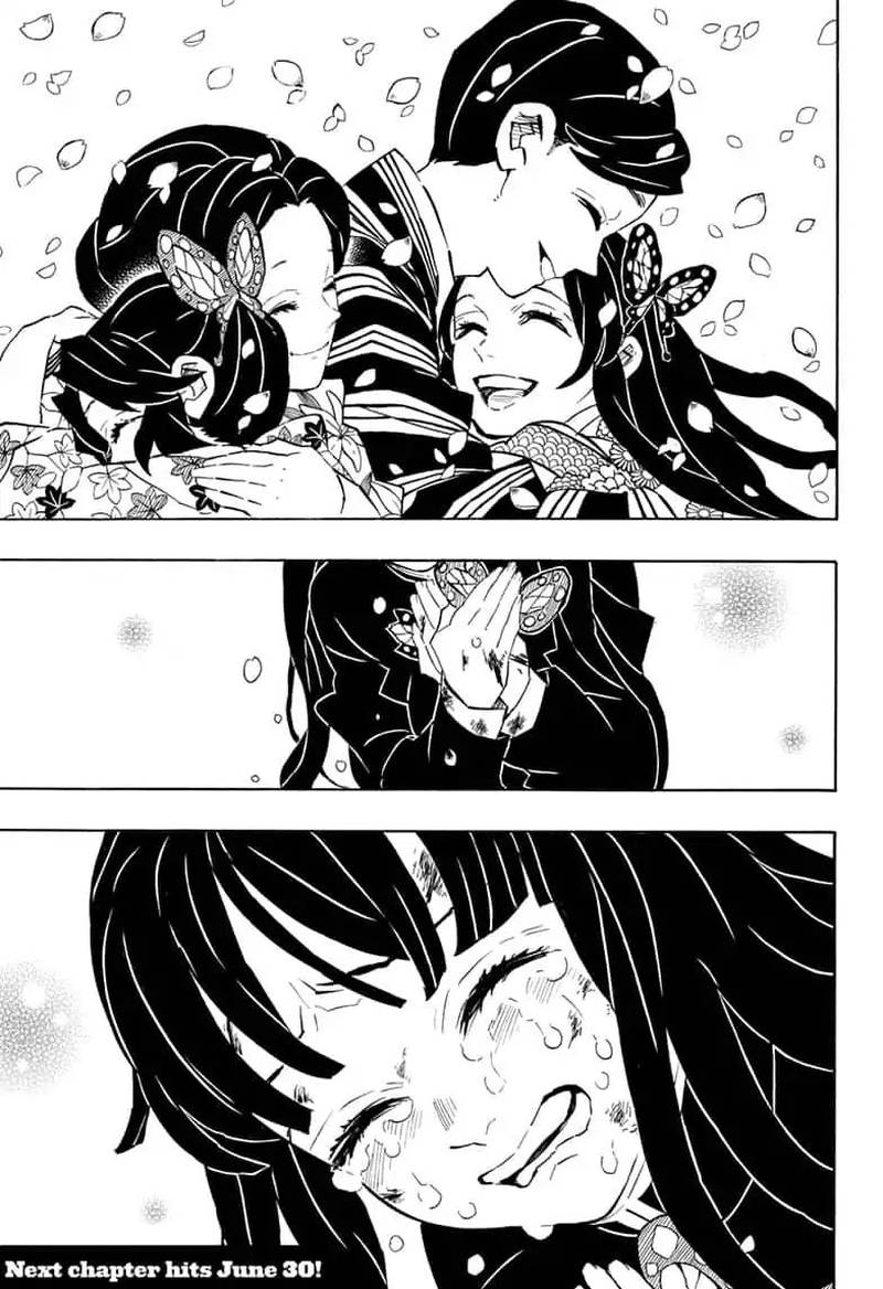 Demon Slayer: Kimetsu no Yaiba Chapter 163 - Page