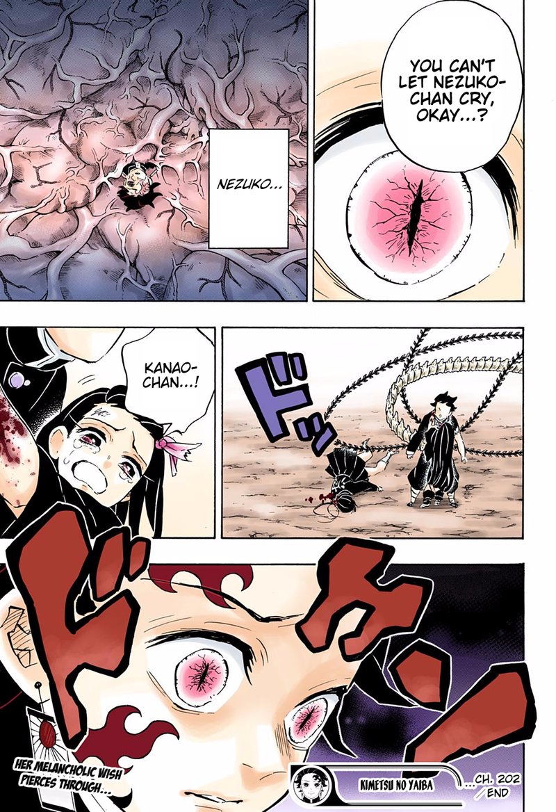 Demon Slayer: Kimetsu no Yaiba Chapter 202 - Page