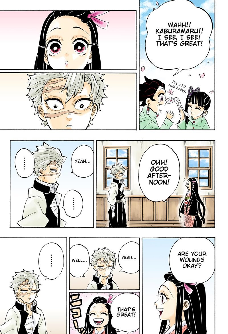 Demon Slayer: Kimetsu no Yaiba Chapter 204 - Page