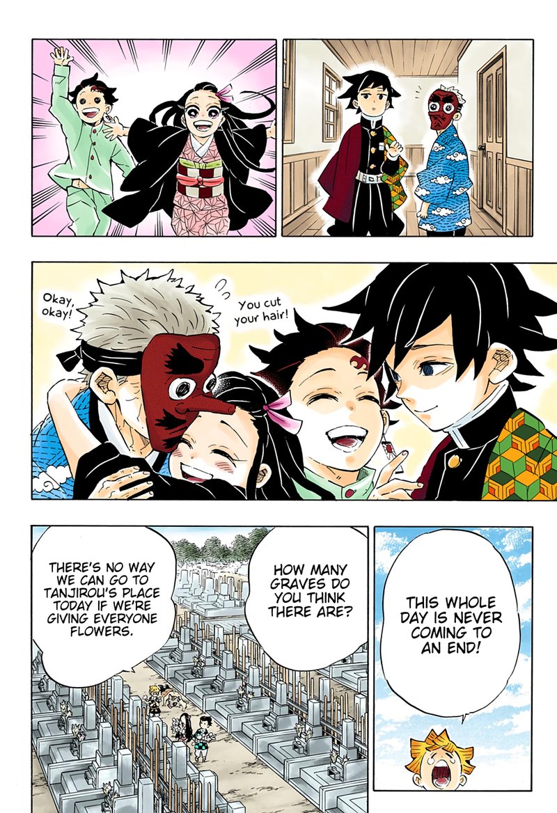 Demon Slayer: Kimetsu no Yaiba Chapter 204 - Page