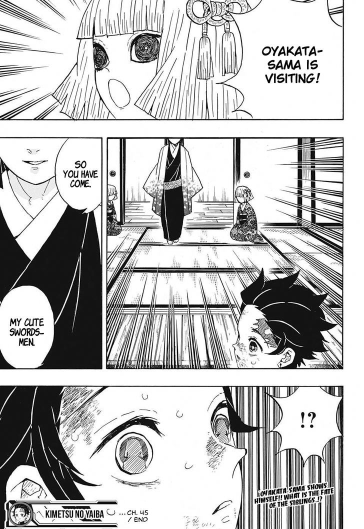Demon Slayer: Kimetsu no Yaiba Chapter 45 - Page