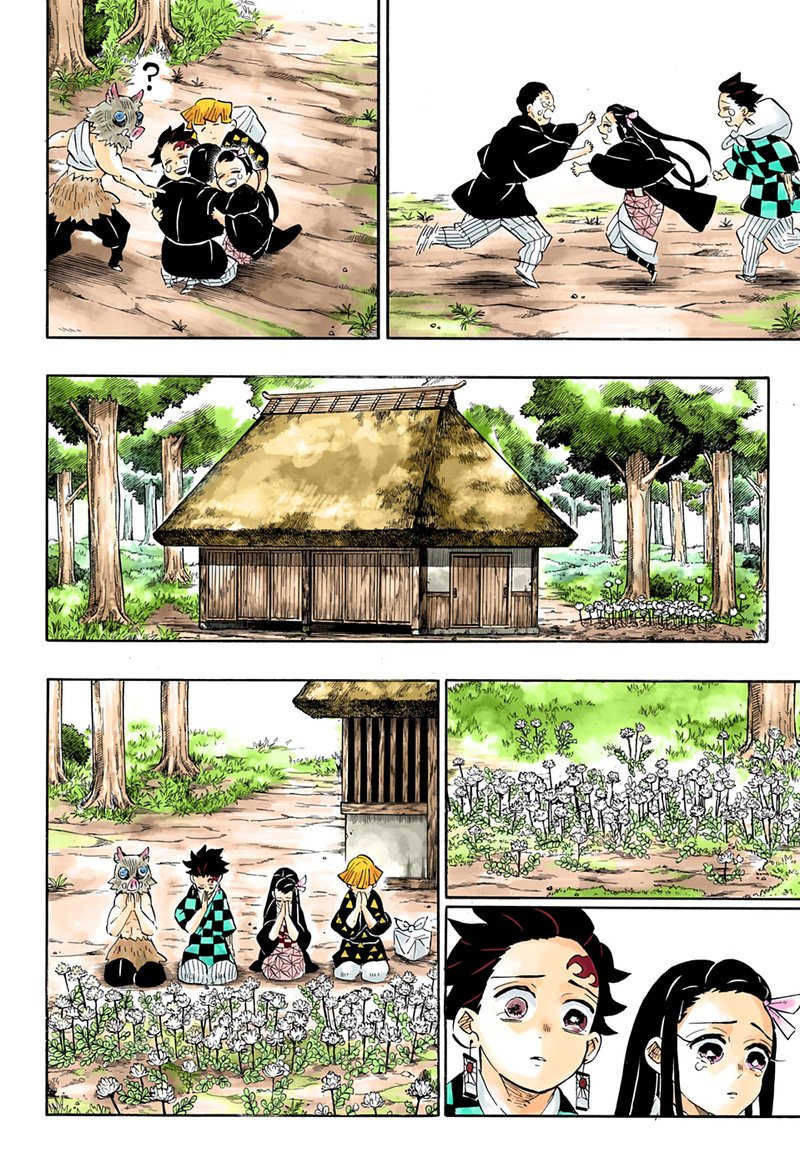 Demon Slayer: Kimetsu no Yaiba Chapter 204 - Page